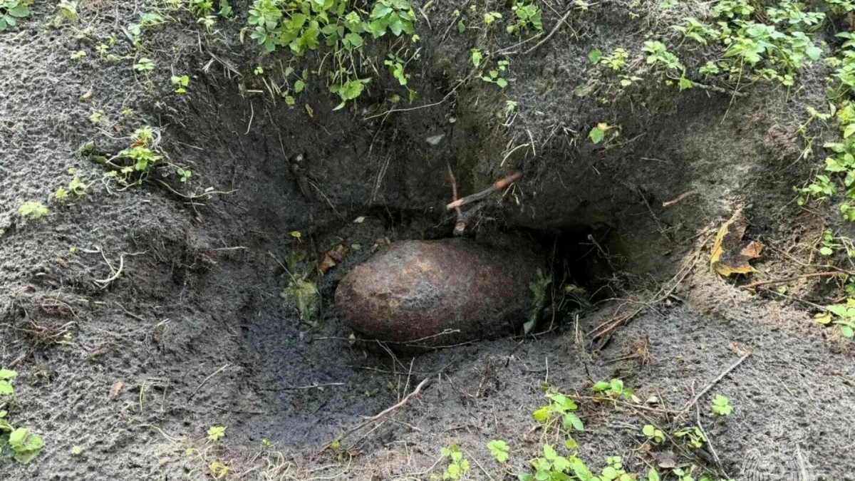 Сто килограммов смерти на грядке: в Балтийске дачник нашёл авиабомбу времён войны