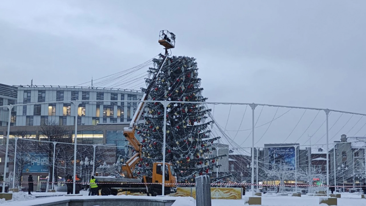 В Калининграде названы сроки установки главной новогодней ёлки на площади Победы
