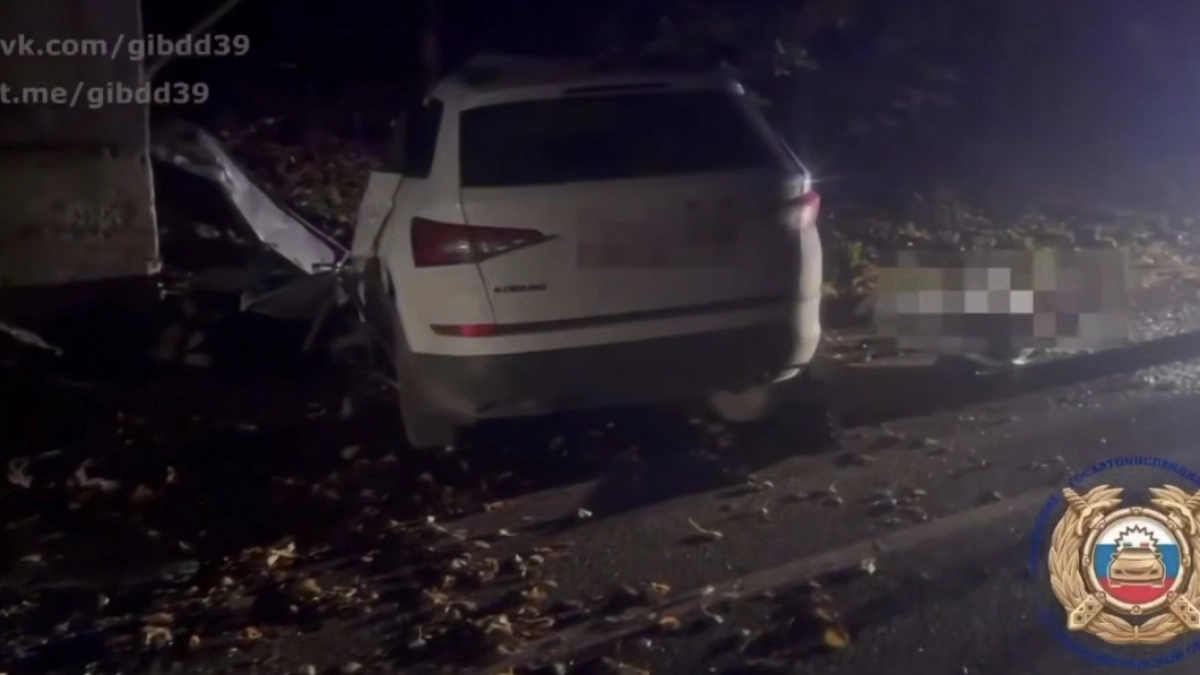 В Зеленоградском районе в результате ДТП погиб 19‑летний водитель