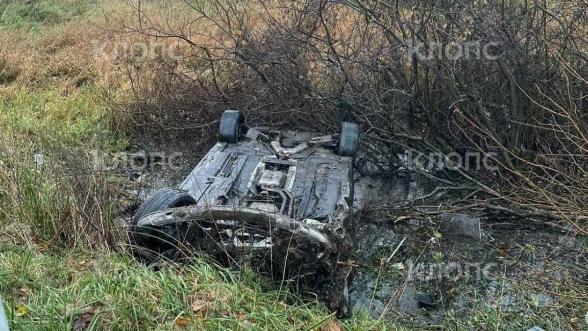 Тело женщины достали из затопленной BMW: что известно о смертельной аварии под Калининградом 31 октября