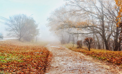 Калининград готовится к шторму: прогноз погоды на неделю