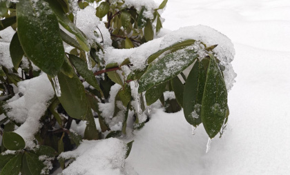Когда в Калининградскую область придёт настоящее тепло — синоптики назвали дату