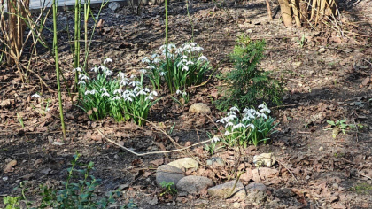 Калининградская область в шоке: за сутки перепад температур — как перелет в другой климат